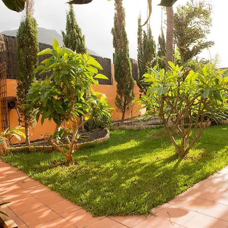 Energy Garden