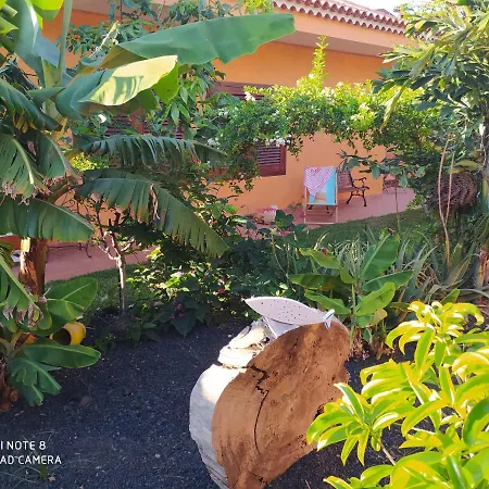 Energy Garden