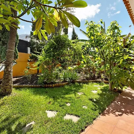Energy Garden *