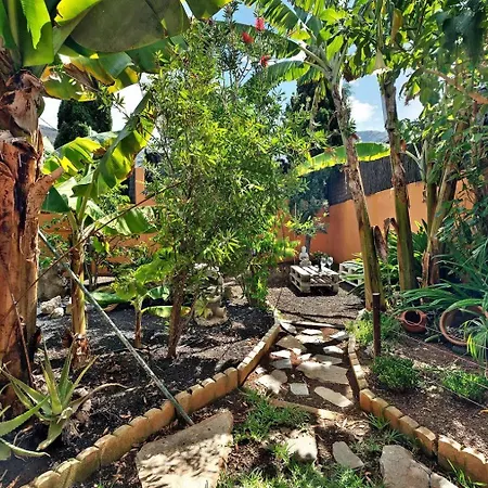 Energy Garden *